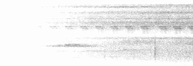 Лінивка-коротун сіроголова - ML300413