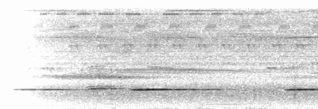 Tinamou de Bartlett - ML300416
