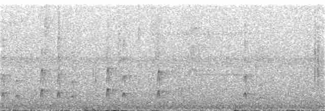 Тиран-інка буроголовий - ML300464741