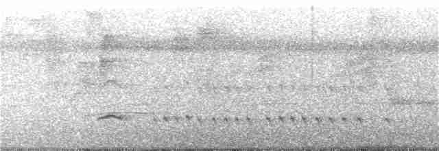 Northern White-fringed Antwren - ML300492911