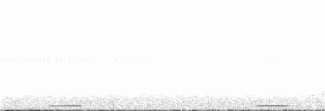 holub pestrokřídlý - ML300607061