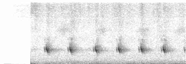 Kara Karınlı Karıncakuşu - ML300617131
