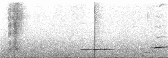 Méliphage carillonneur - ML300618701