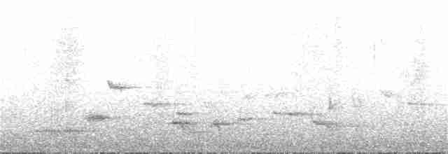 Yeşil-Mor Balkuşu - ML300619071