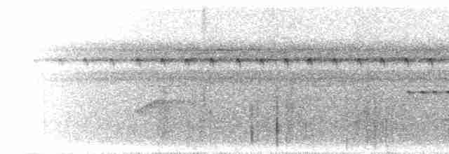 Bluish-slate Antshrike - ML300631