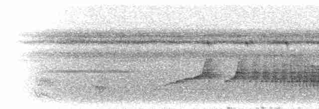 Bluish-slate Antshrike - ML300632