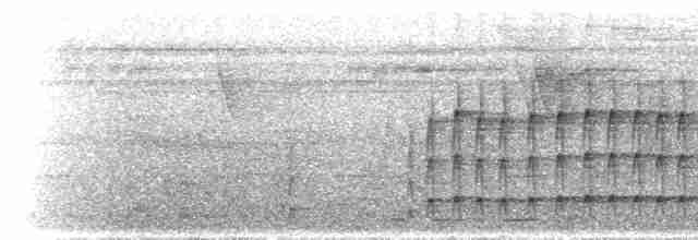 Тиран-інка буроголовий - ML300722
