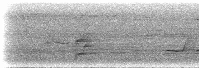 Желтоголовый лорито - ML300737