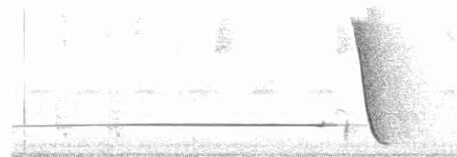 Белогорлая птица-бич - ML300739791