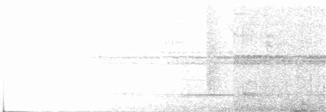 Тиран-інка буроголовий - ML300798311