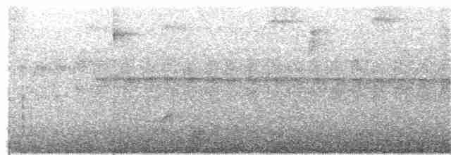 Ockerstirn-Blattspäher - ML300801951