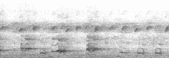 gråhalsrikse (cajaneus) - ML30081