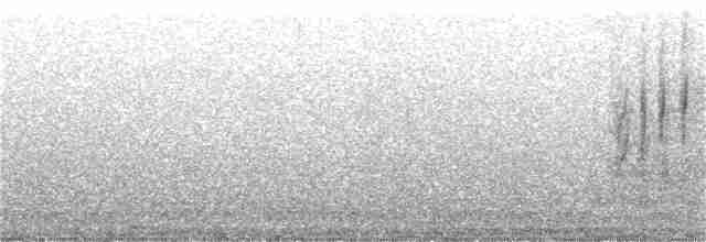 rorýs běločelý - ML30085881