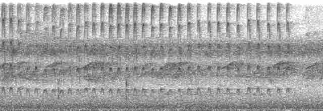 Тиран-інка буроголовий - ML30095