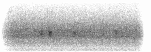Пронурок рудогорлий - ML300976