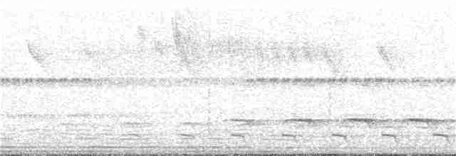 オジロキヌバネドリ（surrucura） - ML300992111