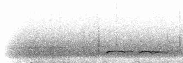 Elegant Crested-Tinamou - ML300998