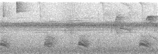 Ruddy-tailed Flycatcher - ML301045121