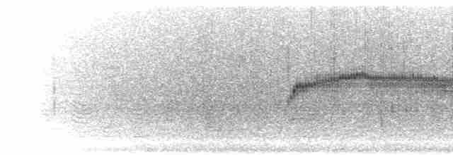 Торілон жовтодзьобий - ML301052
