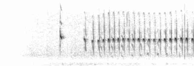Длинноклювый норник (jelskii/saturata) - ML301157