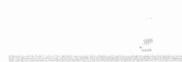 Loggerhead Shrike - ML301238391