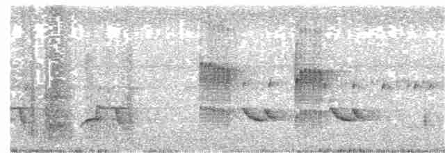 Kestane Karınlı Ardıç - ML301258411