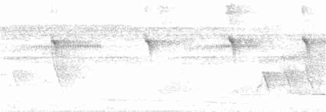 Мухолов-клинодзьоб біловусий - ML301259291