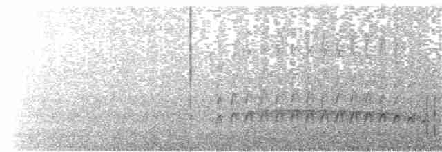Длинноклювый улиткоед - ML301301981