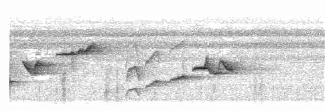 Мухоловка сиза - ML30137351