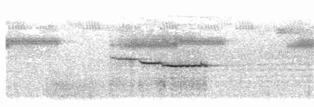 Шиферная мухоловка - ML30137361