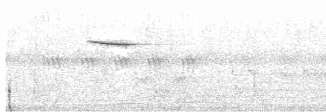  - Cryptic Flycatcher