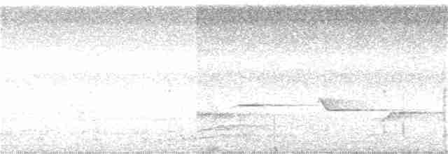 Gray Whistler - ML301436041