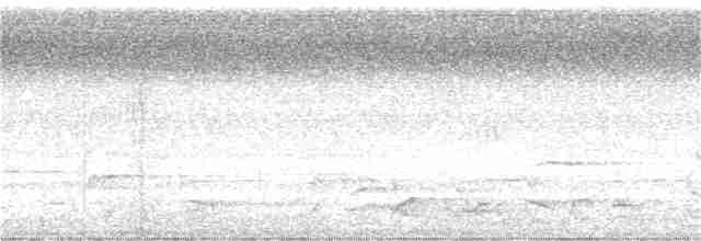 Kestane Karınlı Guguk - ML301437171