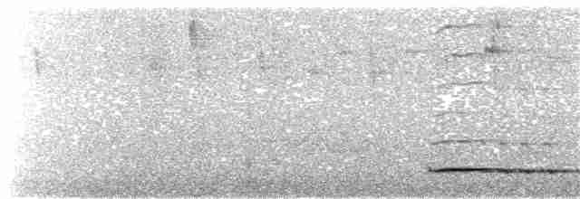 Сичик-горобець андійський - ML301518291