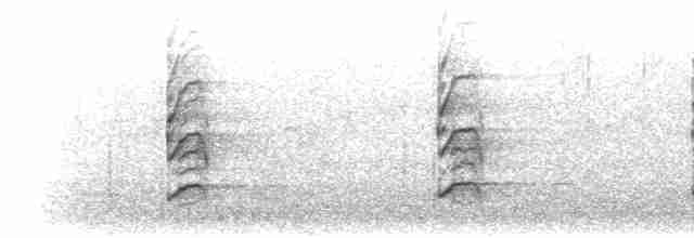 sokolík kropenatý - ML301530