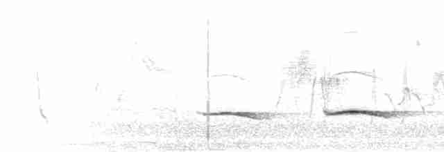 Brushland Tinamou - ML301556
