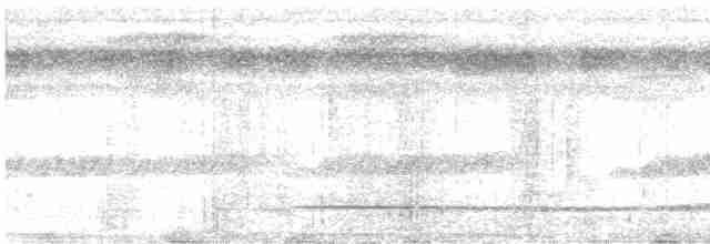 Variegated Tinamou - ML301565931