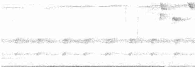 Conirostre marguerite - ML301611741