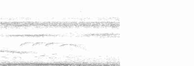 Серогорлая сириста - ML301630161
