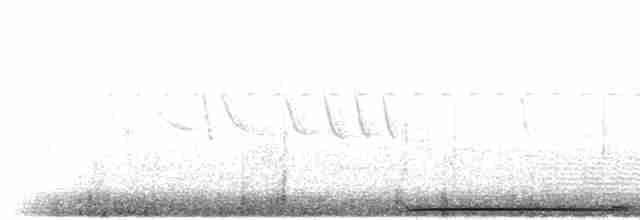 hrdlička černouchá - ML301637