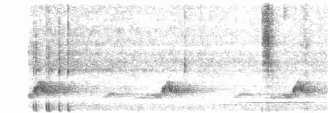 Schwarzkehl-Nachtschwalbe - ML30166711