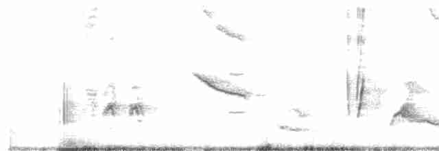 Длинноклювый пересмешник - ML301676491