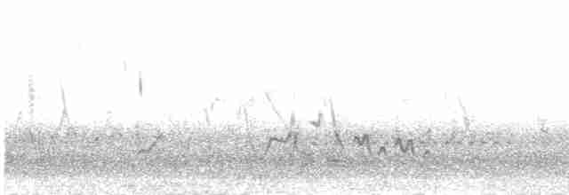 Tinamou sauvageon - ML301678