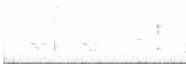 Белоглазый виреон - ML301678881