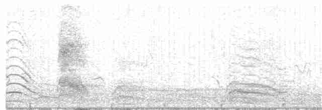 Common Cuckoo - ML30168631