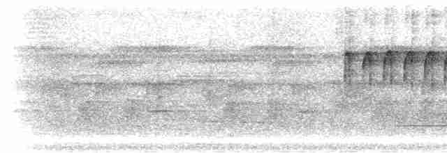 Arrowhead Piculet - ML301714