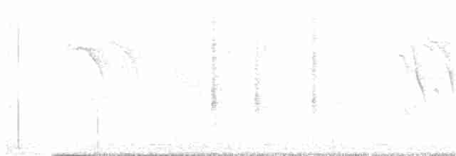 Thick-billed Warbler - ML301732421
