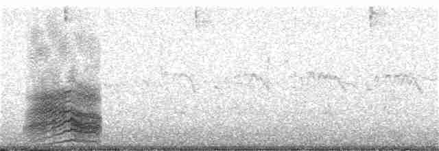 Sterne caspienne - ML30174121