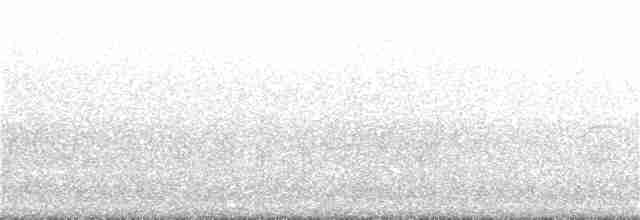 Yellow-rumped Warbler - ML301802241