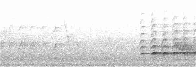 hvitbrynsvartspett - ML301808801